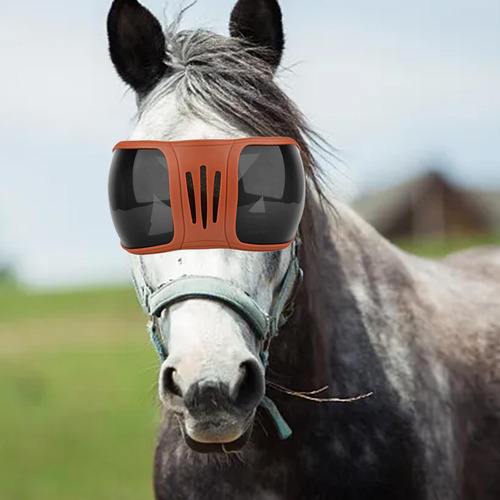 Gafas Para Montar , Gafas Ecuestres, Gafas Protectoras Para