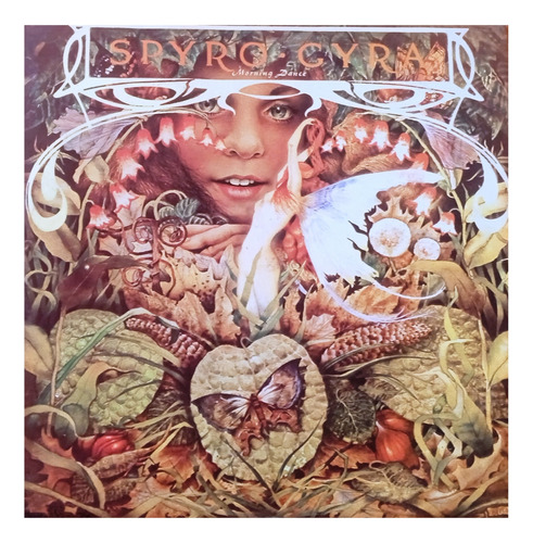 Disco De Vinilo - Spyro Gyra - Morning Dance