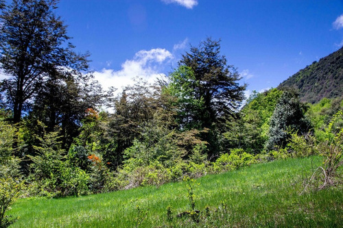1 Hectárea Con Río Y Bosque | Tinquilco - Huerquehue - Pucón