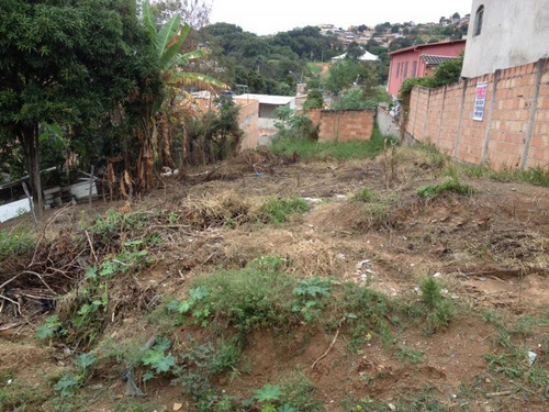 Lote Para Venda Em Ribeirão Das Neves, Fazenda Castro - L07_1-1115595