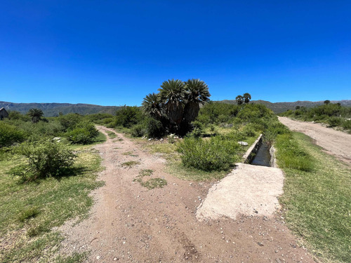 Tres Hectareas En San Francisco Del Monte De Oro.