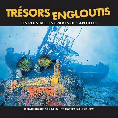 Tresors Engloutis : Les Plus Belles Epaves Des Antilles, De Dominique Serafini. Editorial Les Editions L Amour De La Mer, Tapa Blanda En Francés