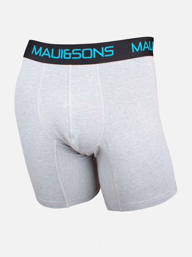 Boxer Mel  Maui And Sons