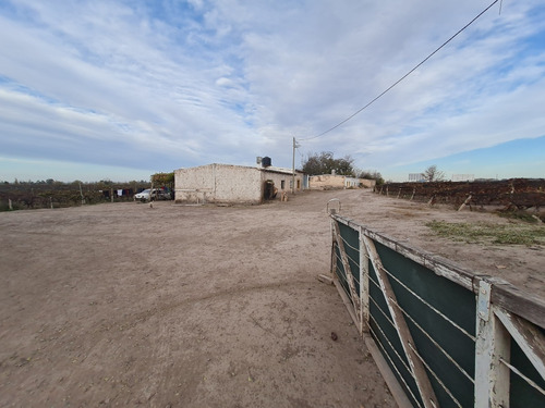 Imagen 24 de 27 de Finca Disponible En Fracciones Ideal Para Galpones O Loteo