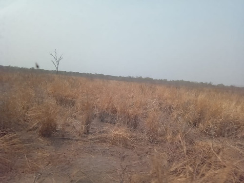 Campo En Quimili - Departamento De Moreno Santiago Del Estero - Argentina