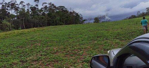 Imagen 7 de 9 de Lote De 5000 M²
