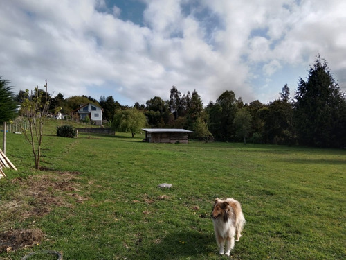 Hermosa Parcela Con Servidumbre Privada Al Lago Llanquihue