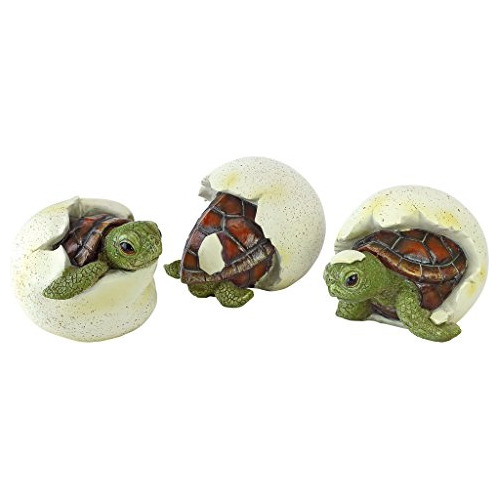 Estatuas De Trillizos De Tortuga Bebé Fuera Del Capara...