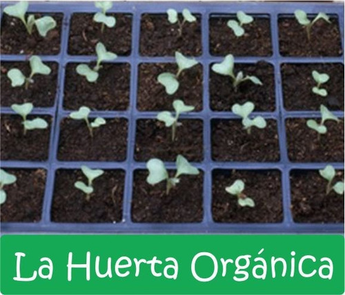 Super Combo Semillas! Huerta Otoño - Invierno Premium!