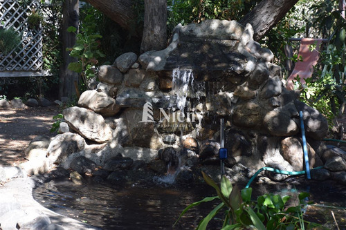 Parcela En Arriendo En Olmué