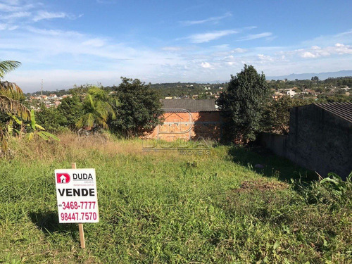 Imagem 3 de 7 de Terreno - Ana Maria - Ref: 7533 - V-7533