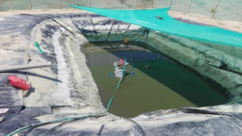 Oportunidad Para Invertir En Tu Propio Lote De Terreno Agricola
