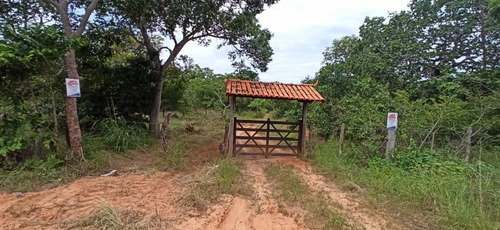 Sítio Com Mais De 20 Mil M2 E Pomar.