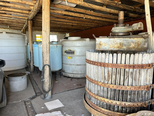Finca, Bodega Artesanal Y Casa En San Rafael, Medoza.