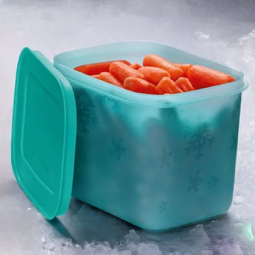 Tupperware Freezer Line 1,1l Pote Para Congelador Não Racha
