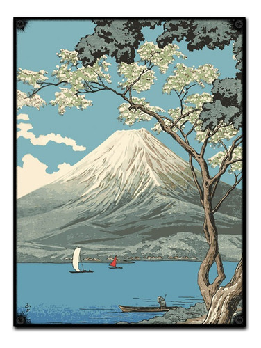 #517 - Cuadro Vintage 30 X 40 - Cartel No Chapa Japón Volcán