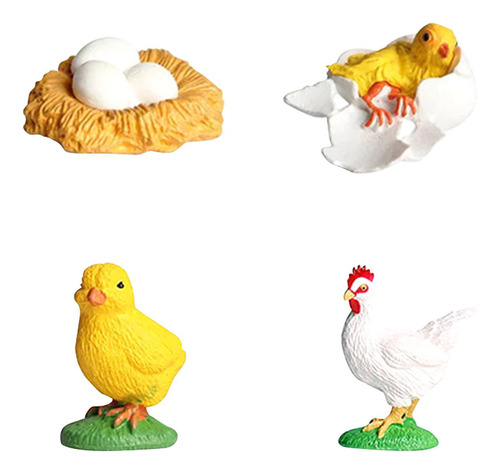 Juguete Del Ciclo De Vida Del Pollo, Juego De Ciclo De