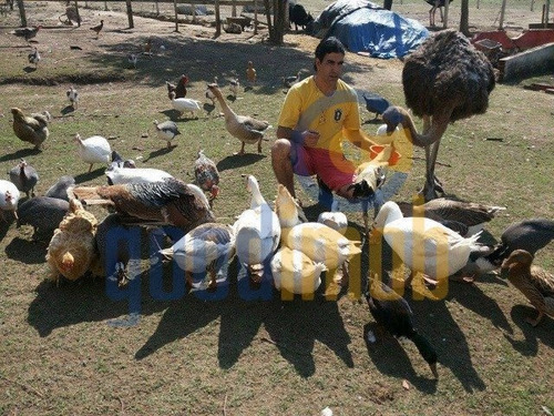 Imagem 10 de 15 de Casarão Residencial/ Comercial, Venda, Estrada Do Ipatinga/ Sorocaba - Ch0003