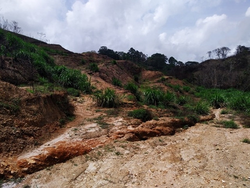 Imagen 4 de 14 de Venta De Dos Parcelas De Terreno Urb. Los Leones Llano Alto Carrizal
