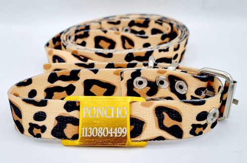 Chapita Perro Chico Dorado+ Collar+correa  Animal Print 2cm 