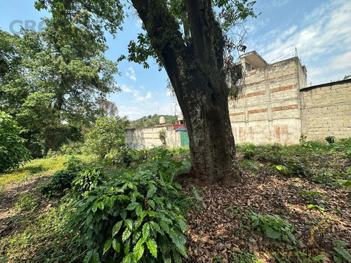 Terreno En Venta En Coatepec Zona Los Carriles