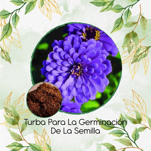 Turba Canadiense Especial Para Semillas De Zinnia Flor Azul