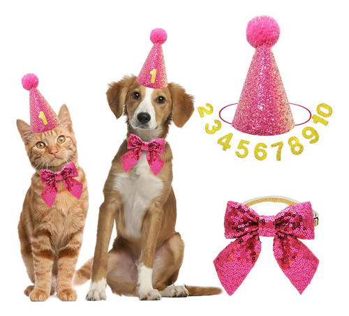 Idolpet Dog Cat Birthday Gat Dog Cat Girl Boy Birthday Fiest