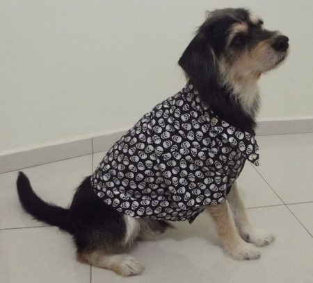 Roupa  Cachorro Totopet Bulldog Schnauzer Burriler Splits