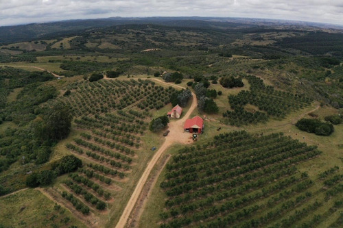 Imagen 2 de 30 de Campo Ovicola En Garzon - 212 Hectareas
