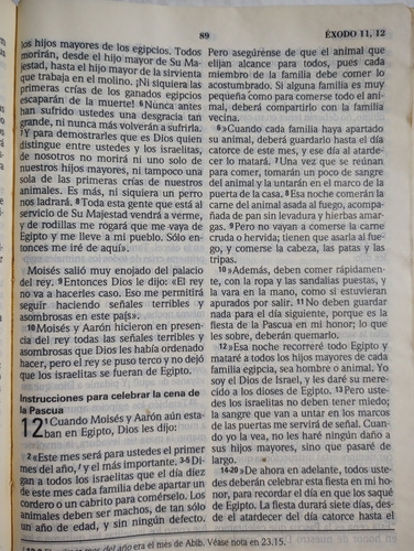 La Biblia Traducción En Lenguaje Actual Orden Católico.. (Usado)