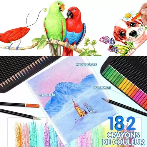 Set De Arte Profesional Colores Lápices Kit Dibujo 180 Pcs