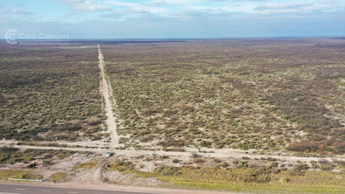 Se Vende Campo Ganadero De 3500 Ha En Mendoza, Argentina