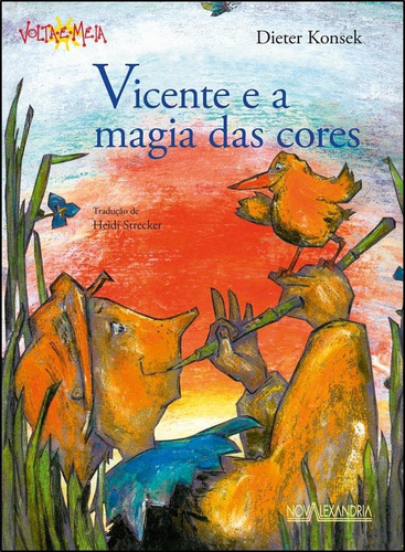 Livro: Vicente E A Magia Das Cores 