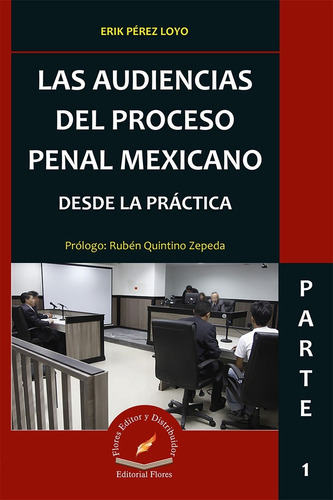 Las Audiencias Del Proceso Penal Mexicano Desde La Práctica