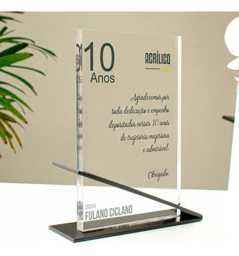 Placa De Homenagem Empresa Evento - Kit 12 Peças