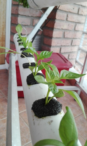 Imagen 5 de 10 de Potenciador De Floración Pyk Rinde 1000 Litros.