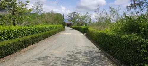 Lote En Venta En Santafe De Antioquia. Cod V12510