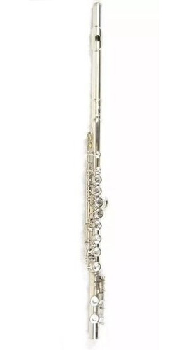 Flauta Transversal Jahnke 16 Chaves Jfl001 C/ Case