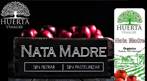 Nata Madre Madura Para Vinagre 300g