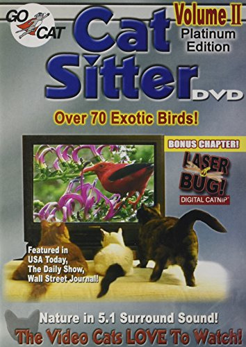 Cat Sitter Ii Dvd De Sunrise