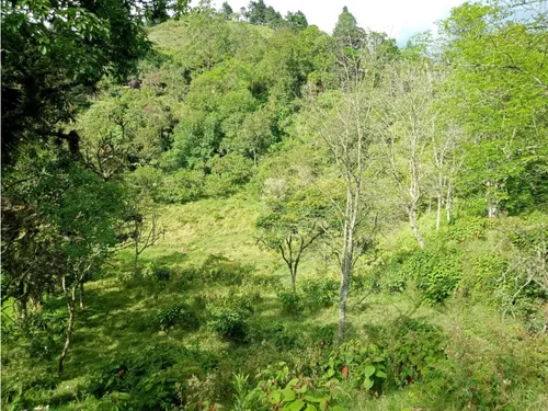 Vendo Finca Reventones Anolaima
