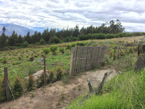 Imagen 4 de 12 de Vendo Terreno En Mira Carchi 4000 Metros