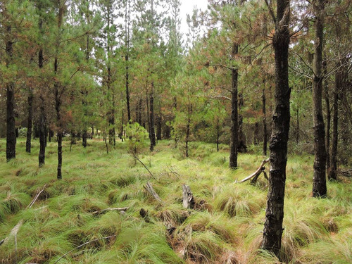 Lote En Venta Sendero I . Costa Esmeralda