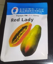 Comprar Semillas De Lechosa Red Lady F1. X 1 Mil Semillas.