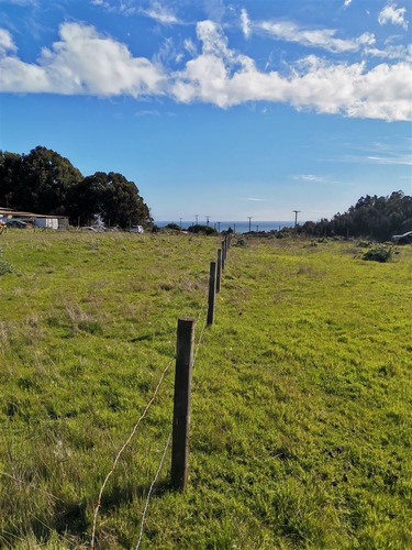 Parcela En Venta En Concón 1200m2 60millones