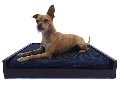 Cama Para Gato Perro Colchón De Lujo Base Minimalista 57x53