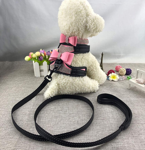 Newtensina 3 Piezas Pajaritas Bling Lindo Arnés Para Perro Y