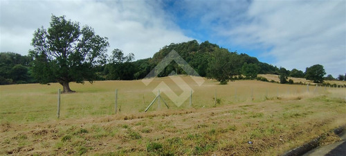 Sitio - 5.000 M2 Cada Uno - Cascadas - Puerto Octay