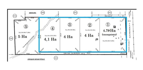 Imagen 2 de 30 de Campo En Venta En Bavio | Ruta 11 E/el Pino Y Km.42 (bavio) 19 Has