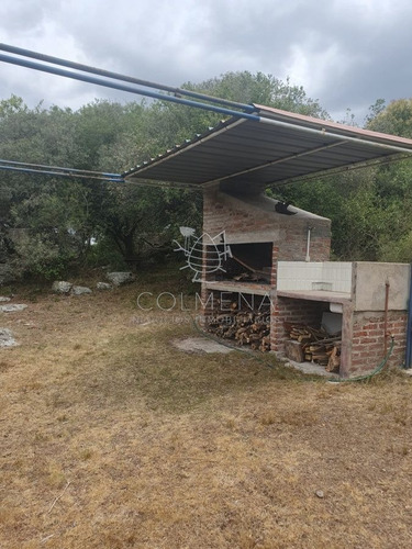 Imagen 7 de 19 de Campo 7 Has Con 1333 M2 Cerca De Aigua